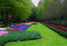 Лучшие ботанические сады и парки мира Ландшафтные парки мира